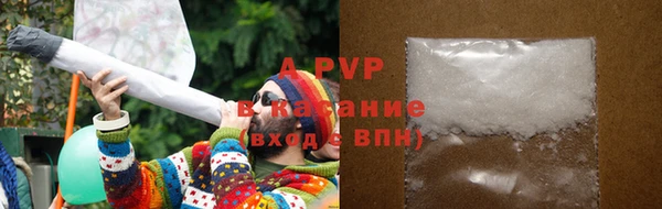 ГАЛЛЮЦИНОГЕННЫЕ ГРИБЫ Вязники