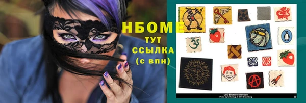 ГАЛЛЮЦИНОГЕННЫЕ ГРИБЫ Вязники