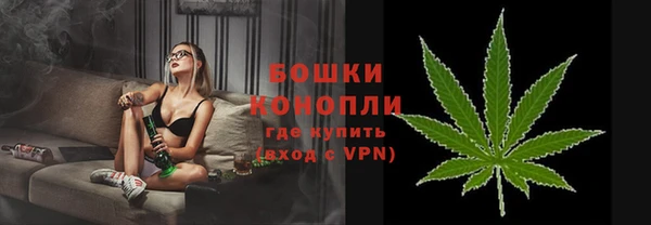 ГАЛЛЮЦИНОГЕННЫЕ ГРИБЫ Вязники
