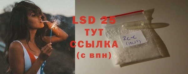 ГАЛЛЮЦИНОГЕННЫЕ ГРИБЫ Вязники
