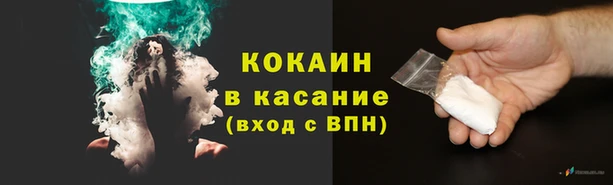 ГАЛЛЮЦИНОГЕННЫЕ ГРИБЫ Вязники