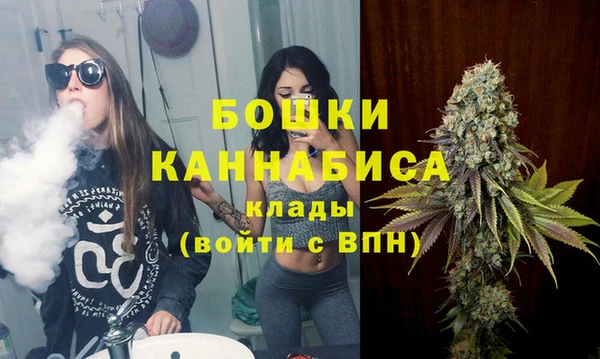 apvp Вязьма