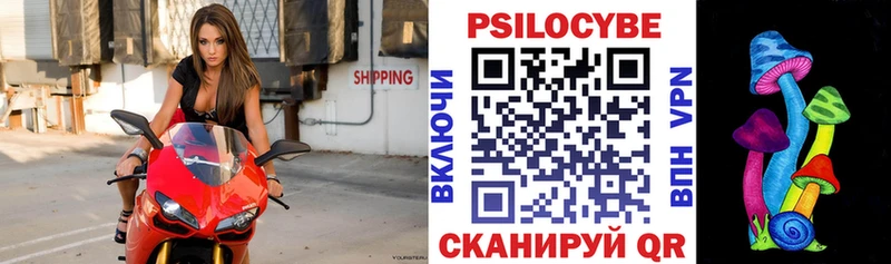 Галлюциногенные грибы мицелий  mega вход  Ленинградская  что такое наркотик 
